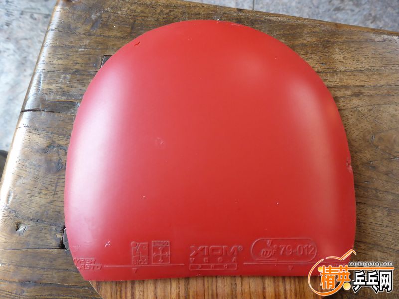 P1010046 (800x600).jpg