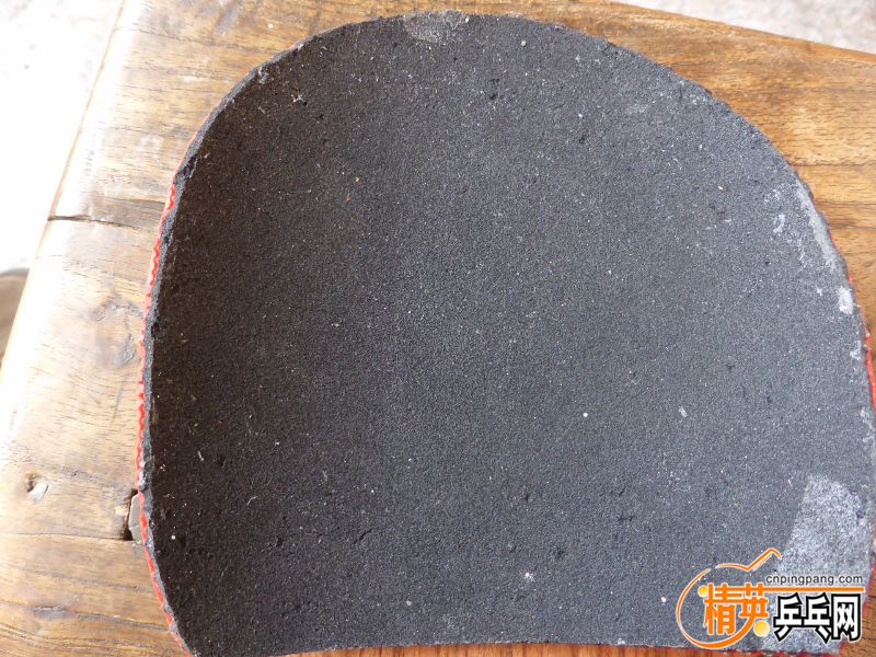 P1010047 (800x600).jpg