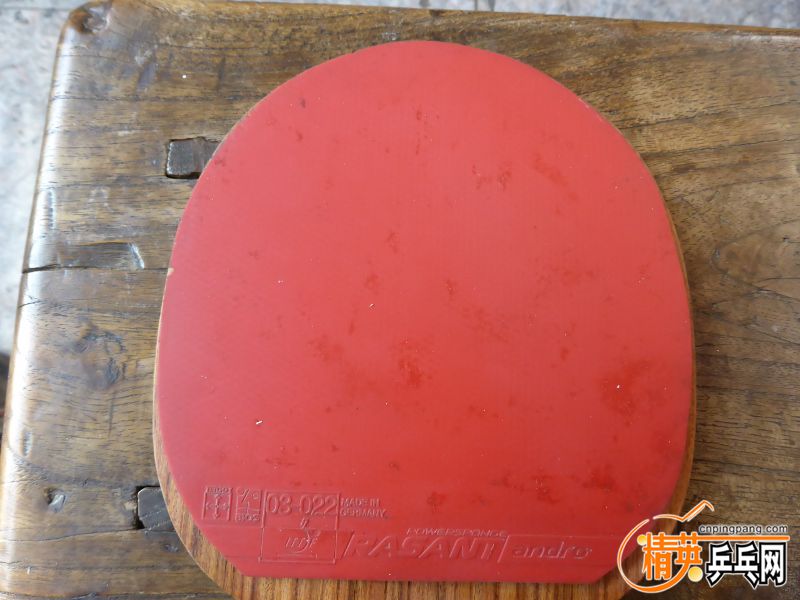 P1010049 (800x600).jpg