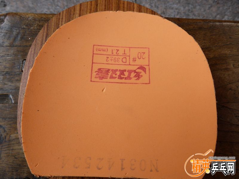 P1010053 (800x600).jpg