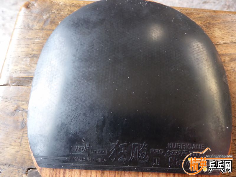 P1010052 (800x600).jpg