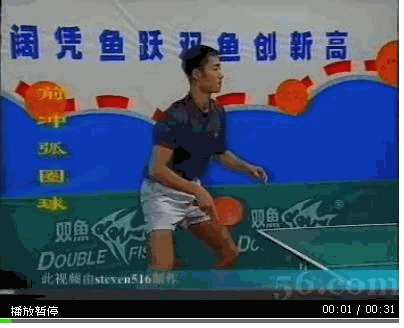 20066113155031052.gif