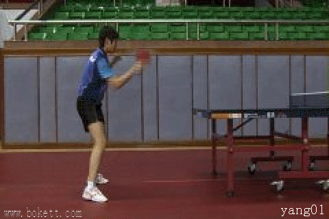 20085228454060591.gif