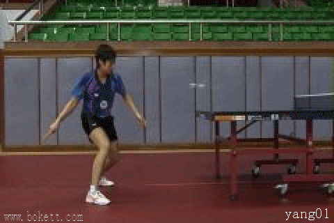 20085228454068048.gif