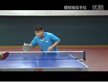 IMG_0269.GIF
