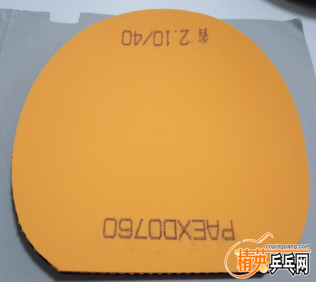 ʡ���  �磺8.9  ����15.9  ����15.9  