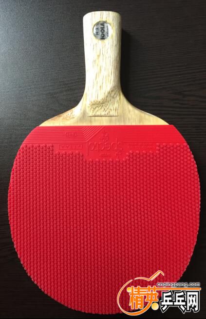 joola R1 TSP����.JPG