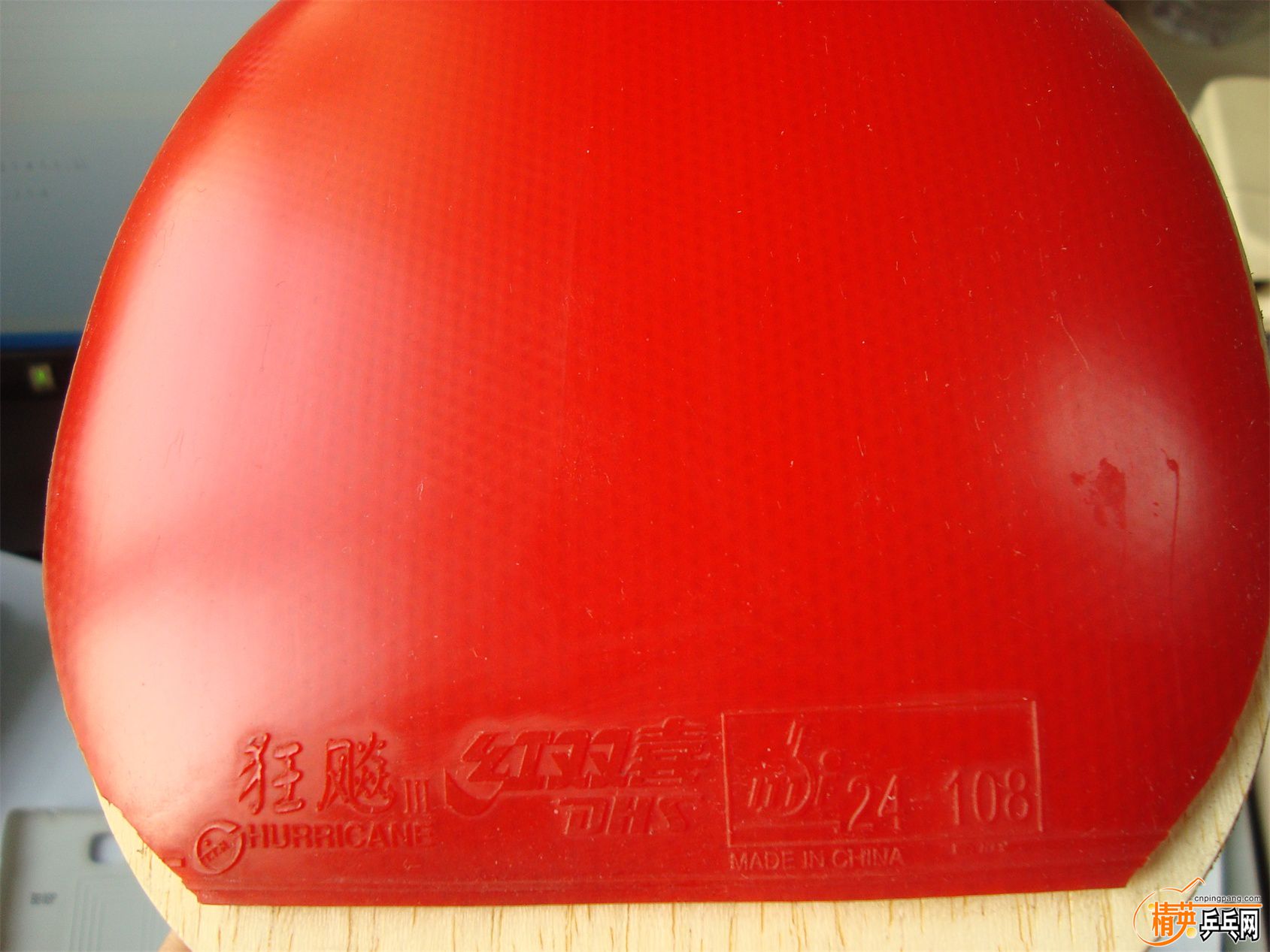 DSC08122.JPG
