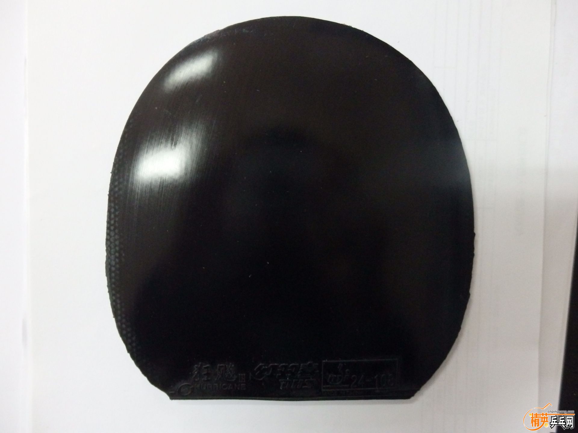 PC111119.JPG
