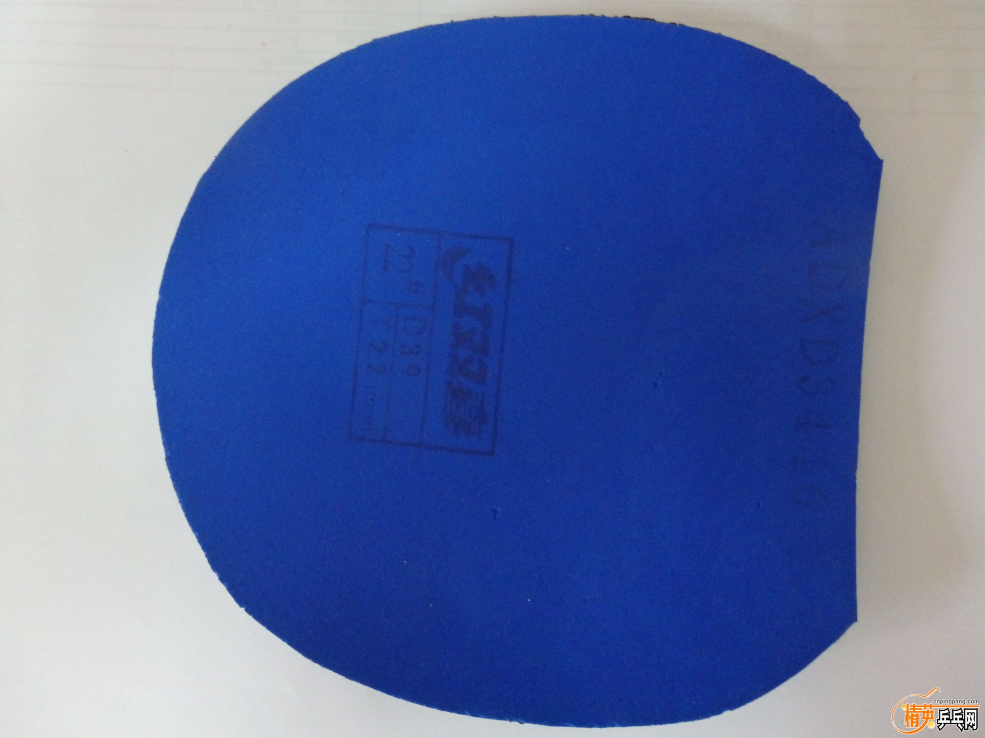 PC111122.JPG