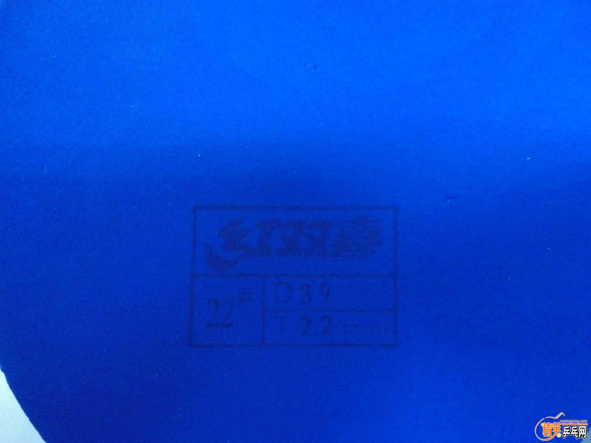 PC111123.JPG