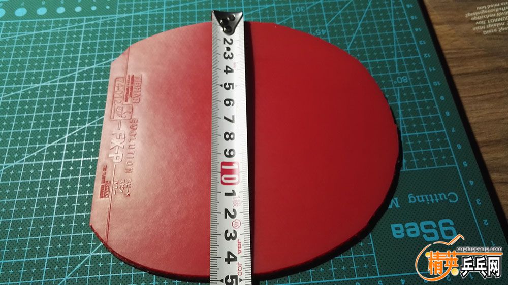 FXP3.jpg
