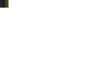 IMG_3359.gif
