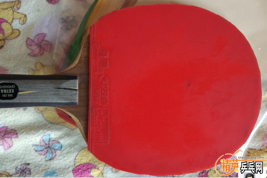 ʡ������