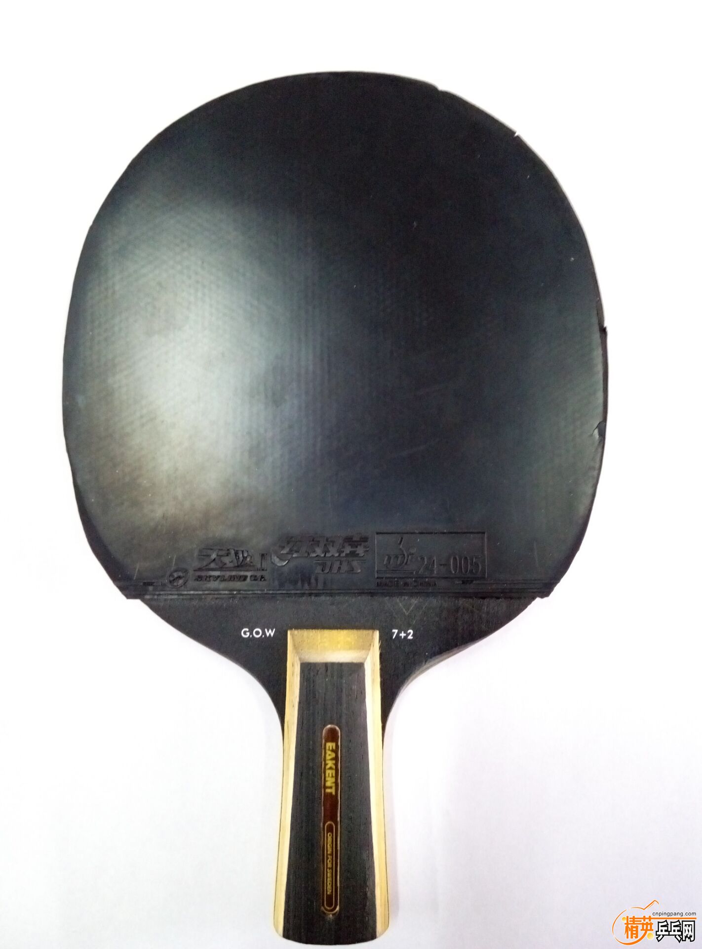 zheng.jpg