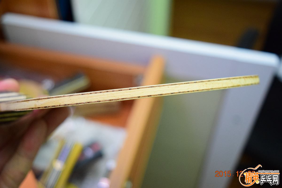 DSC_0238.jpg