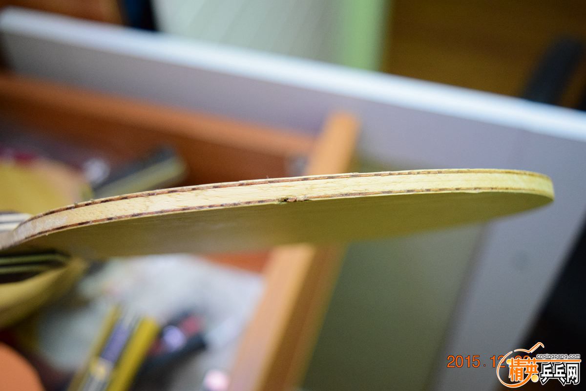 DSC_0239.jpg