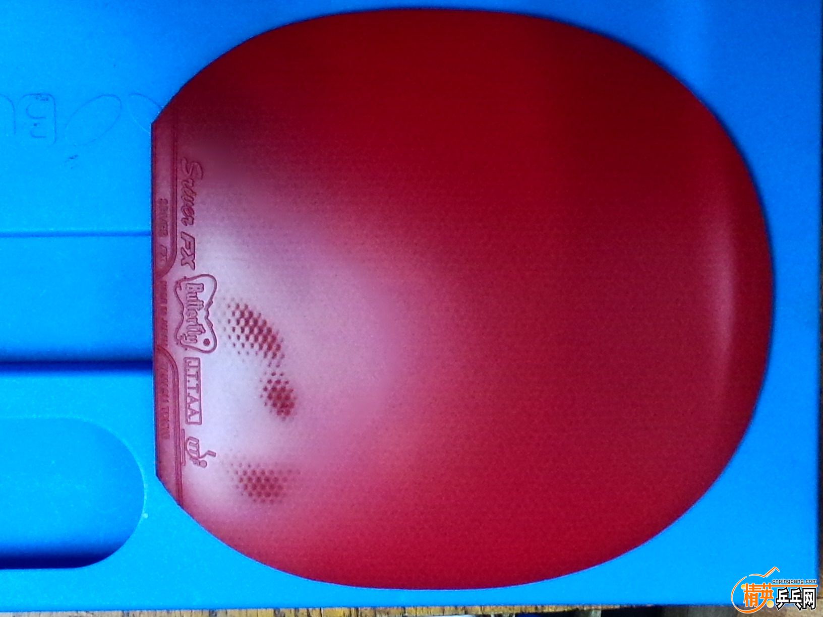 FX�� - ����.jpg