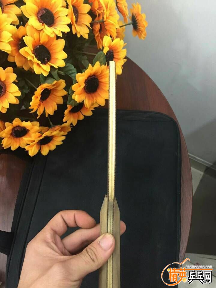 QQͼƬ20151227154612.jpg