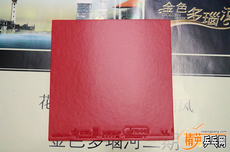 DSC04127_.jpg
