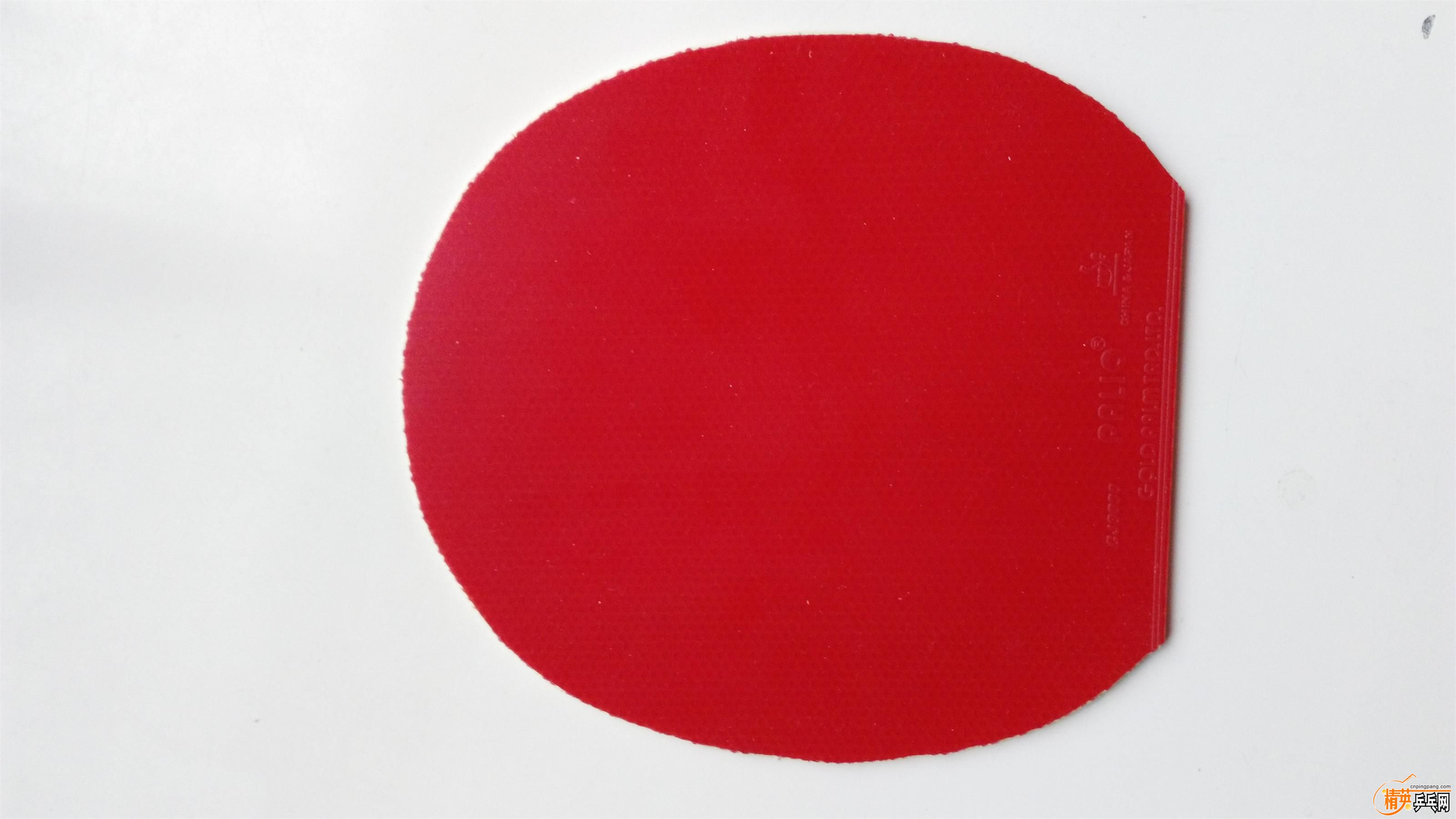 IMG20151223135000.jpg