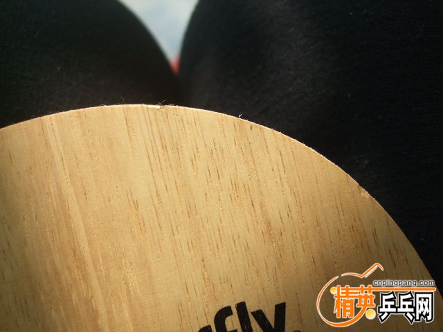 DSCF4560.JPG
