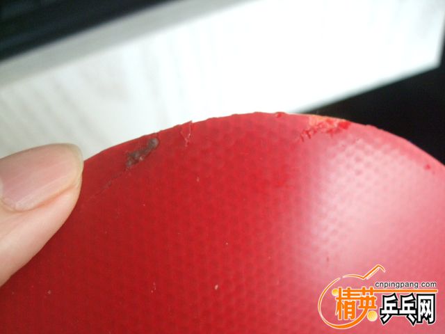 DSCF4533.JPG