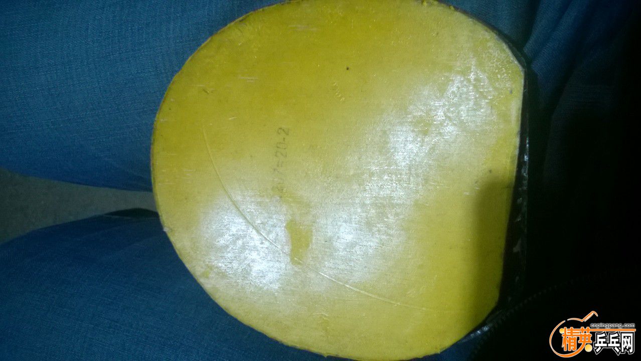 WP_20160101_004.jpg