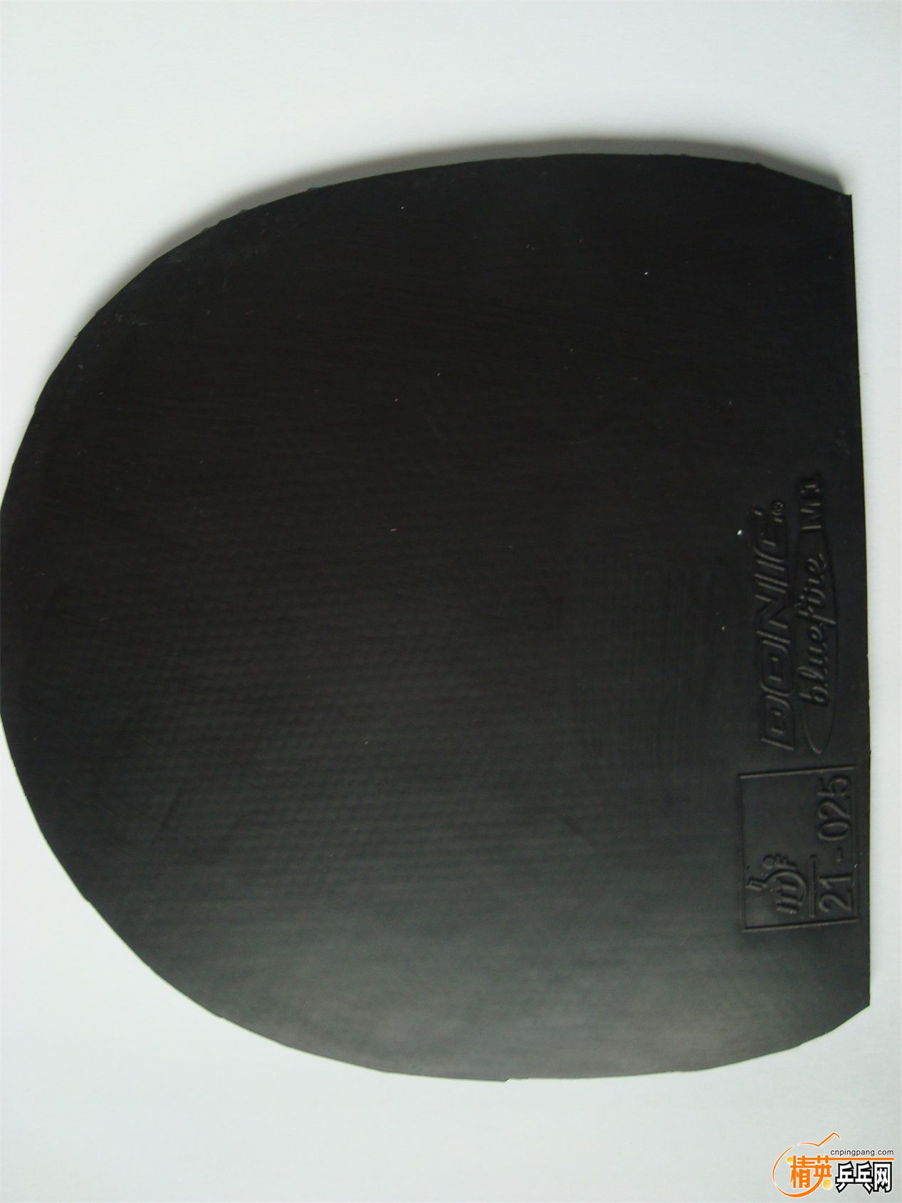DSC08180.JPG