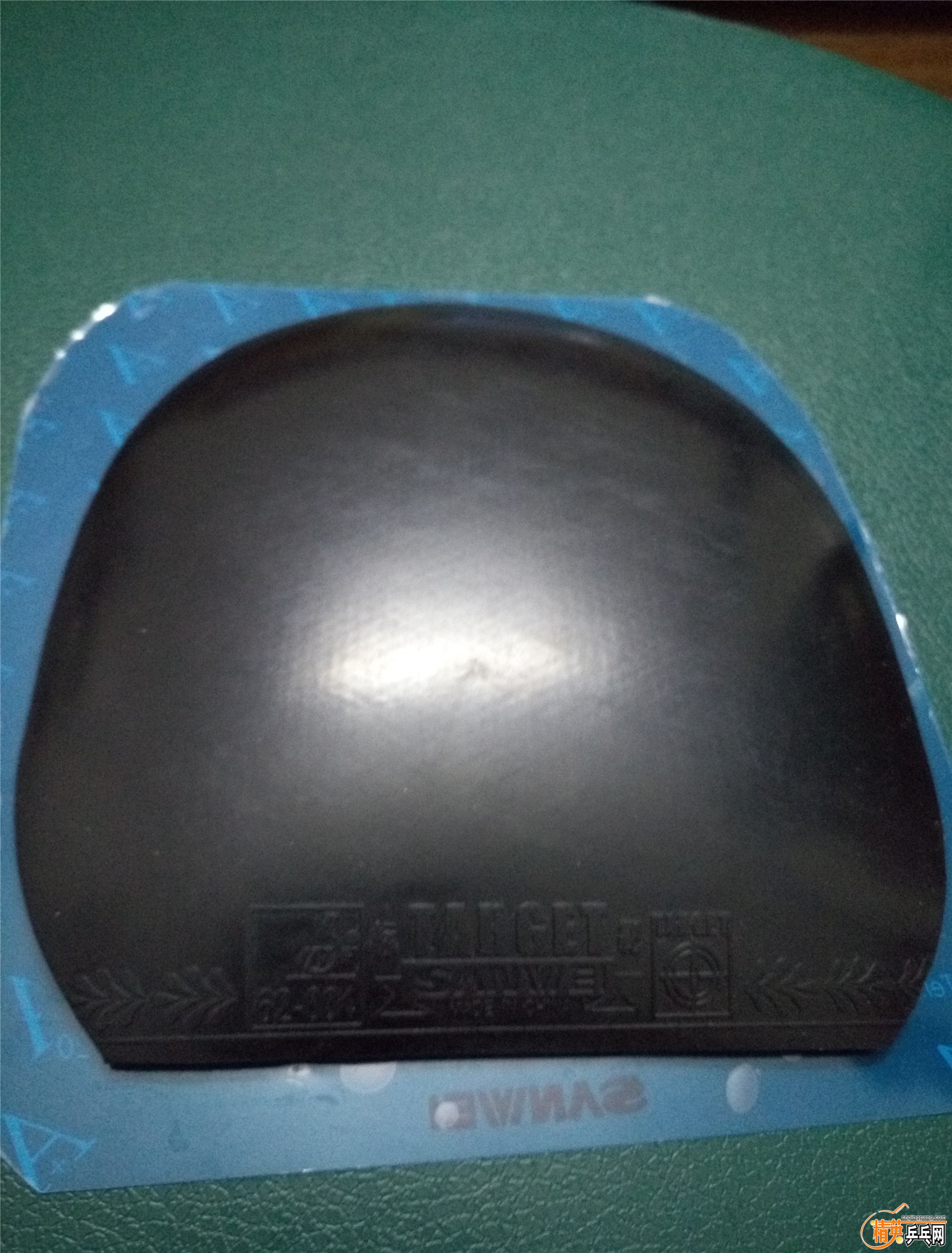 P51101-224606_4.jpg
