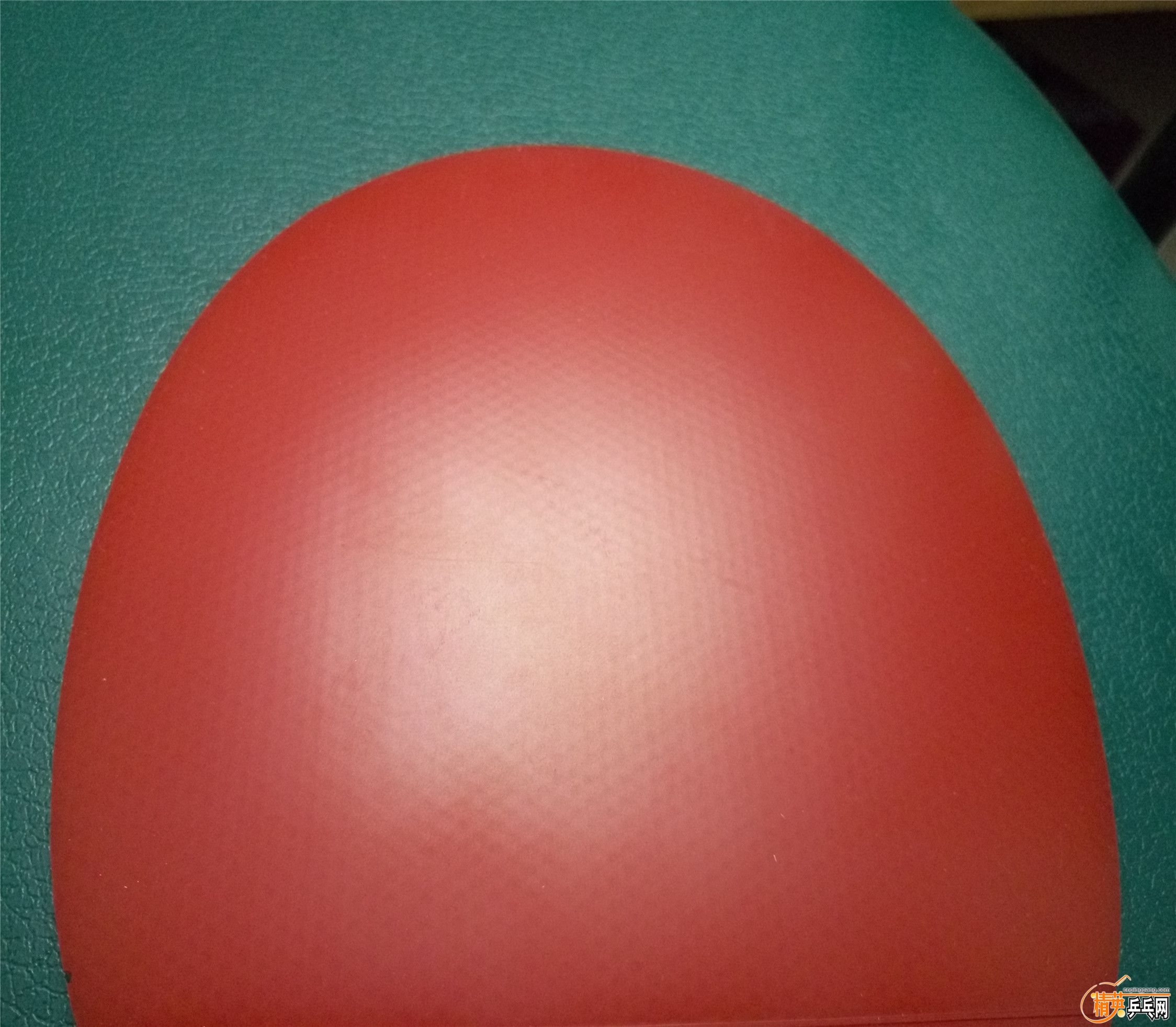 P60105-231100.jpg