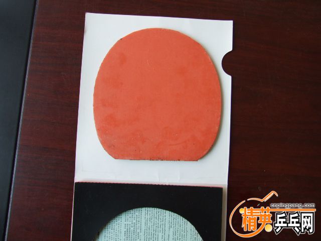 DSCF9052.JPG