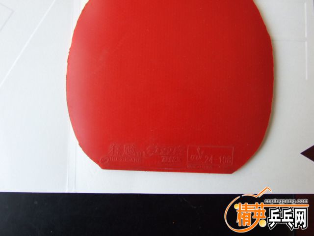 DSCF9054.JPG