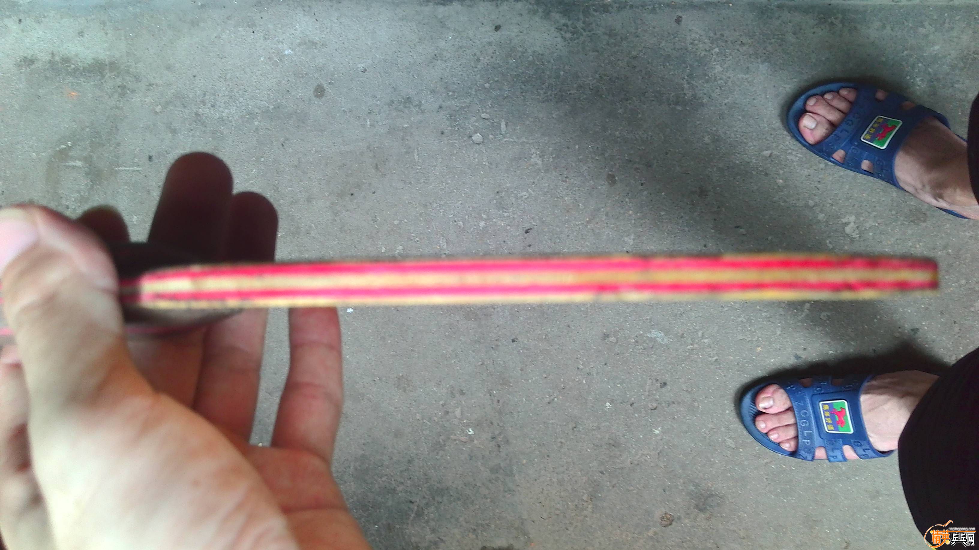 CLCRIMG_20150704_113341_BURST5.jpg