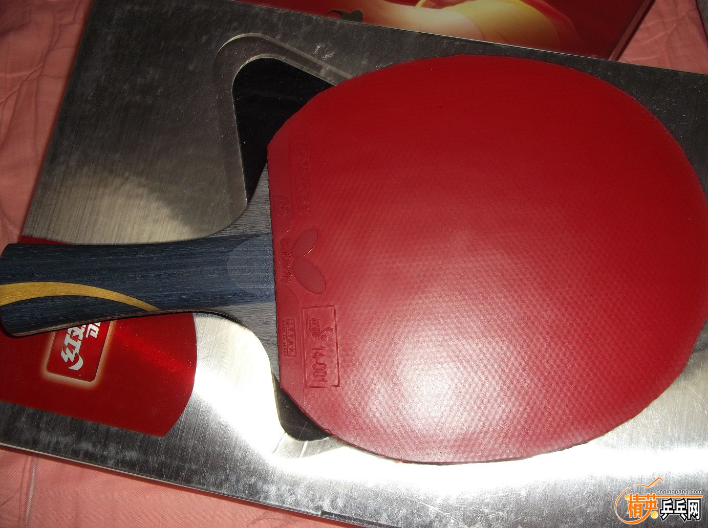 DSCF1496.JPG