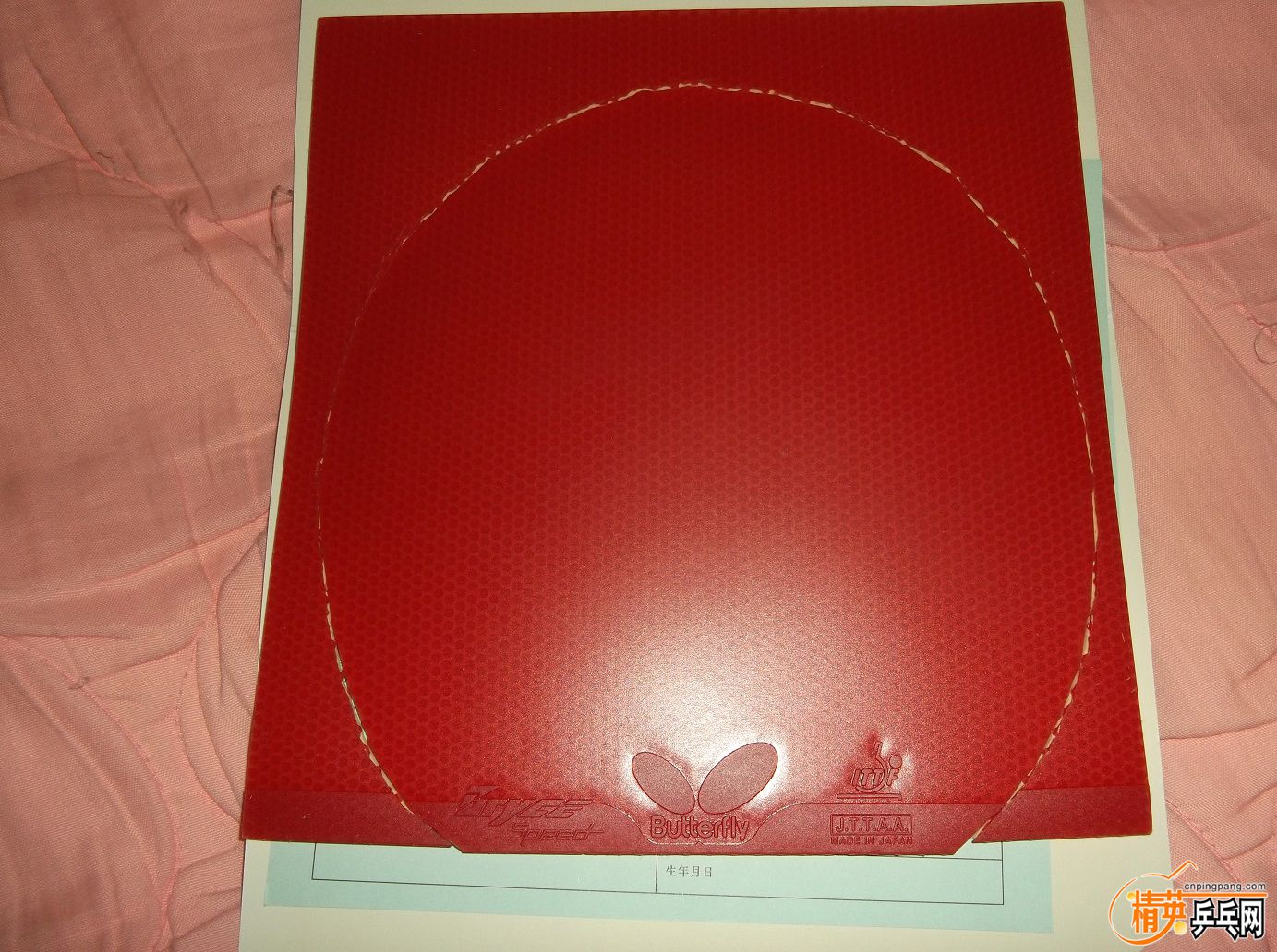 DSCF1479.JPG