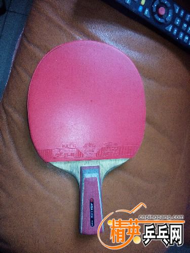 IMG_20151210_111357.jpg