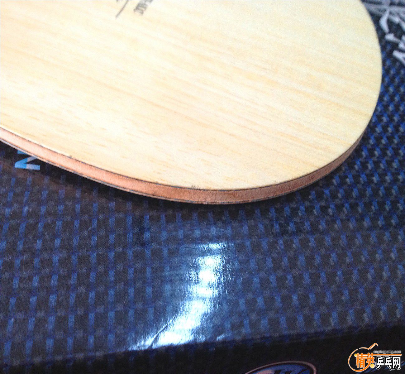 ��Ƭ 339_��ͼ��.jpg