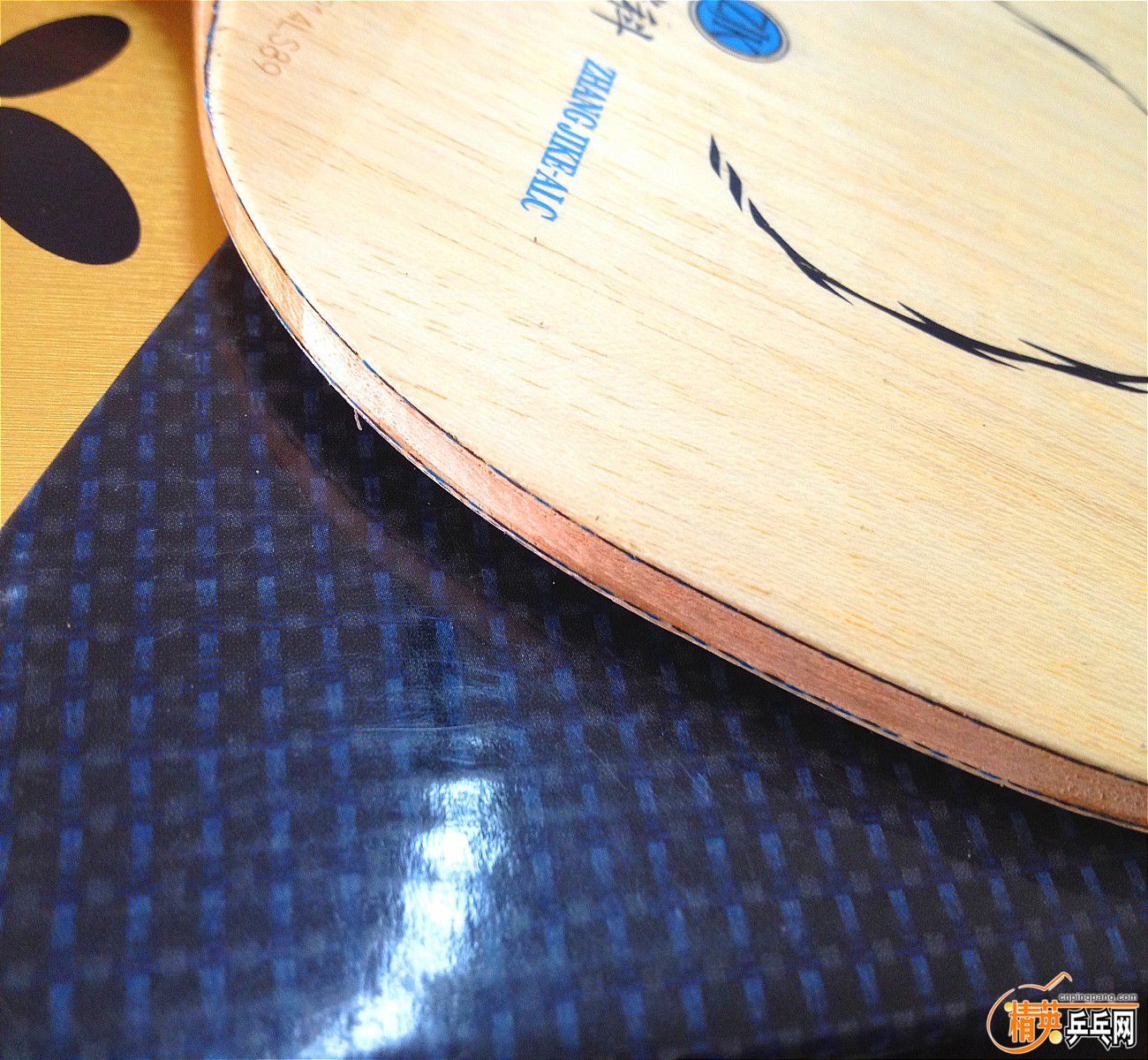 ��Ƭ 340_��ͼ��.jpg