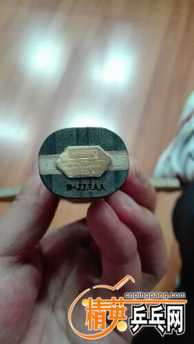 IMG_20160122_170112.jpg
