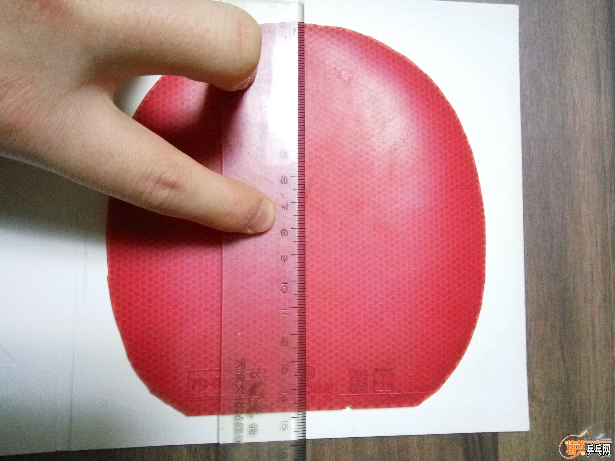 z2.jpg