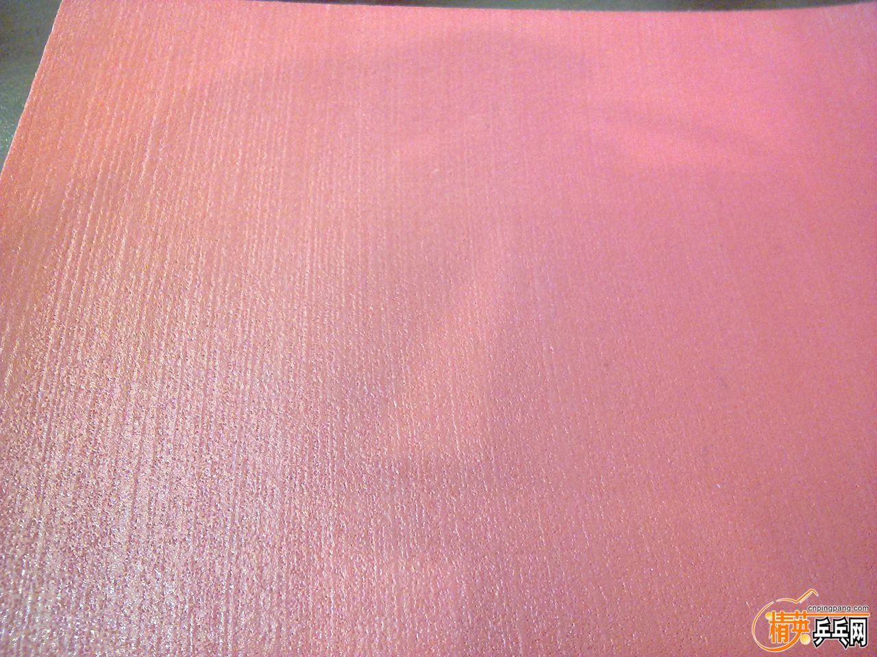 6gan5.jpg