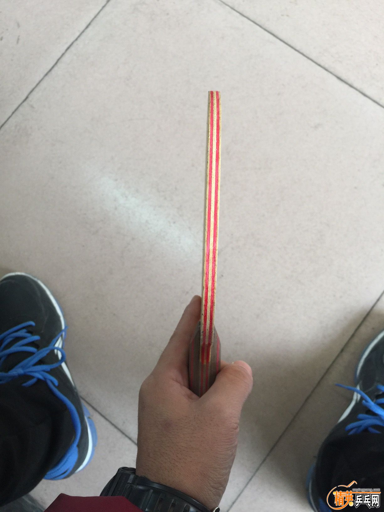 image.jpeg