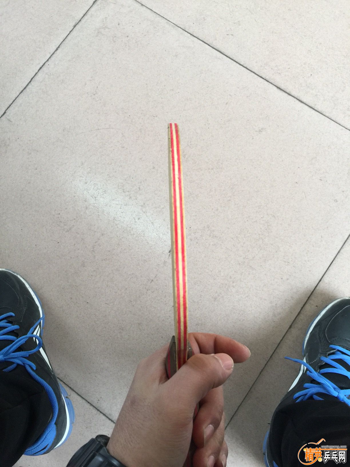 image.jpeg