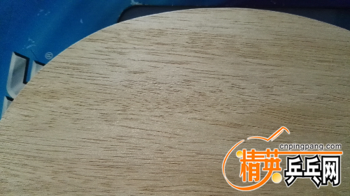IMG_20160130_150309.jpg