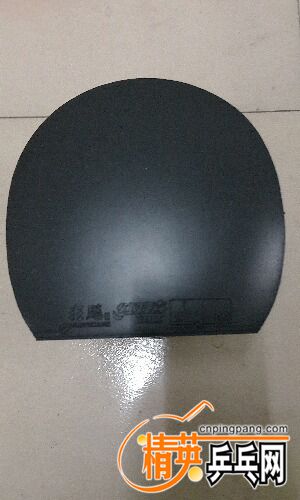 P60201-220136.jpg