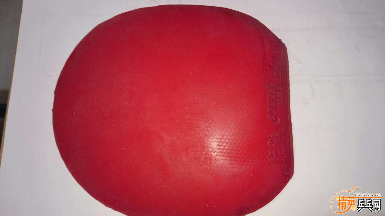 884025731246811948.jpg