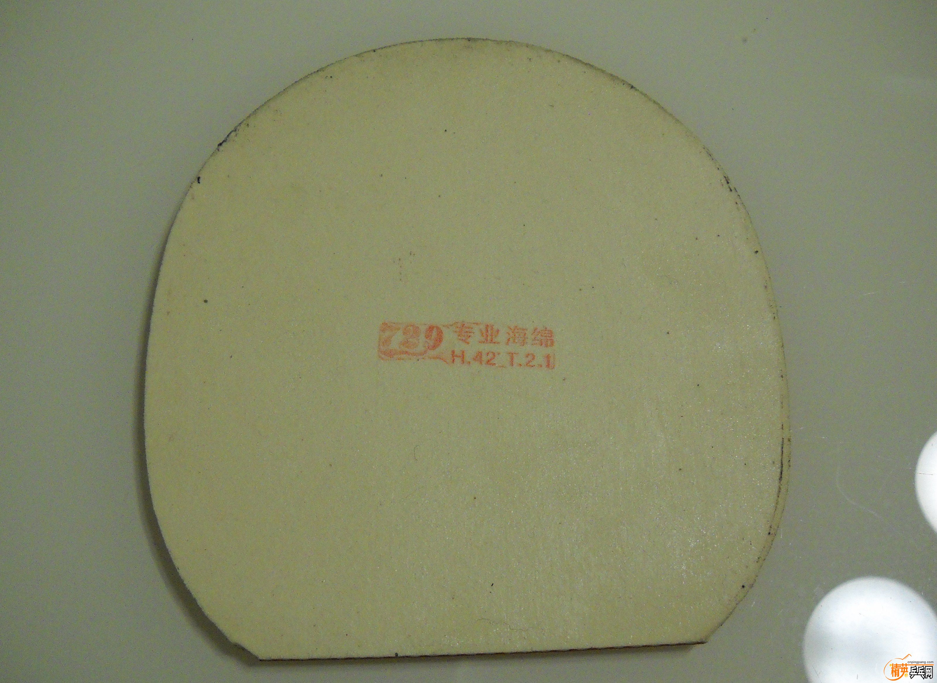 DSCN1920.JPG