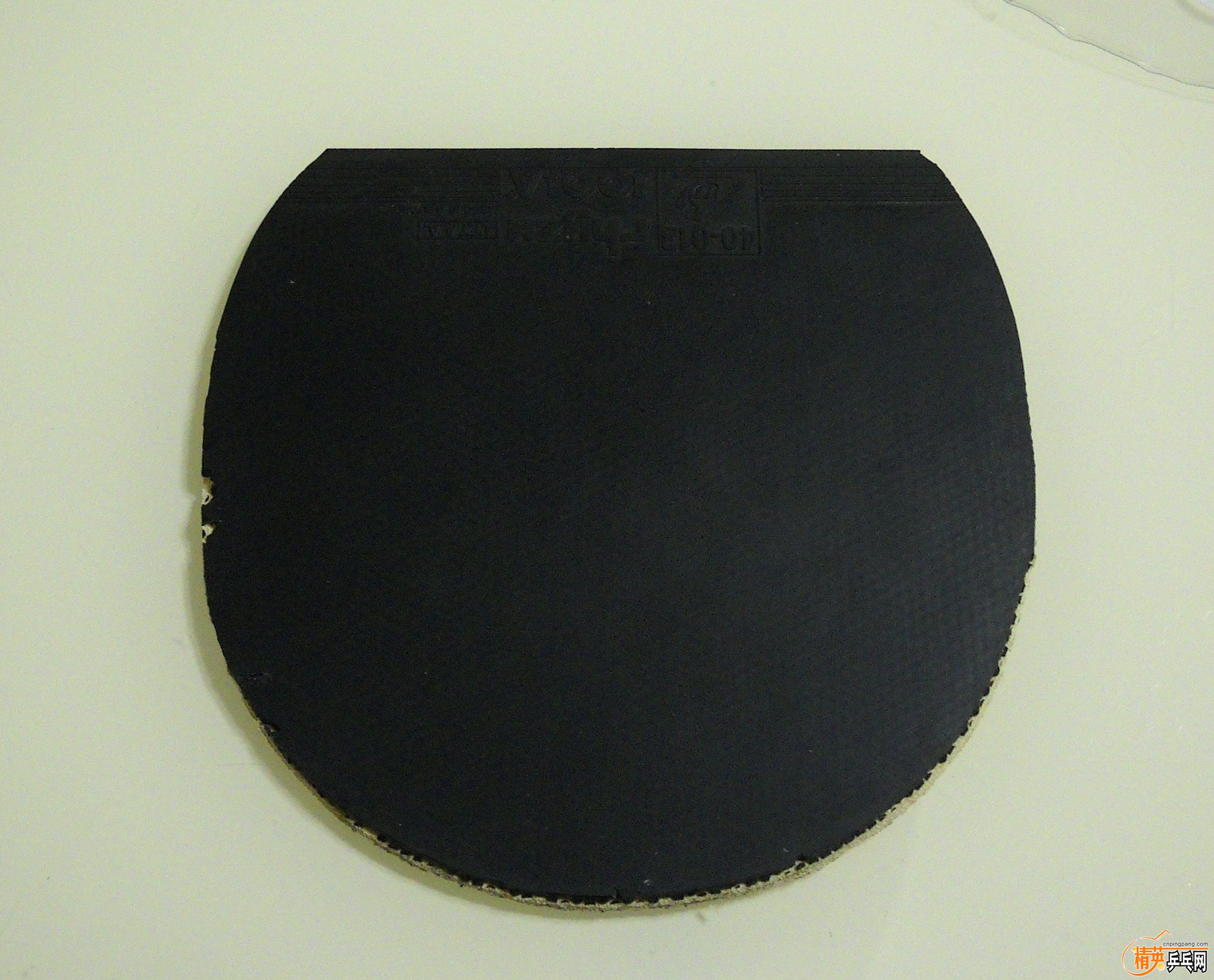 DSCN1924.JPG