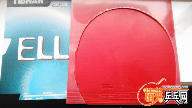 ͦ�������˷����׽�